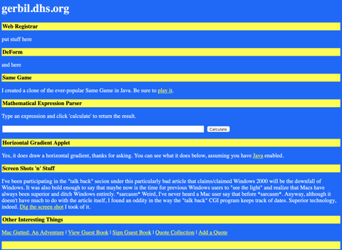 gerbil__swedish_flag